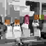 an7