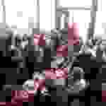 an8