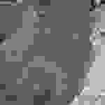 an8