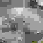 an8