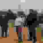 an9
