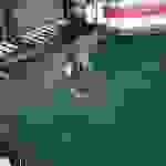 an9