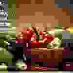 AN