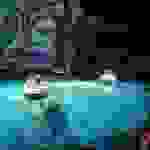 AN2