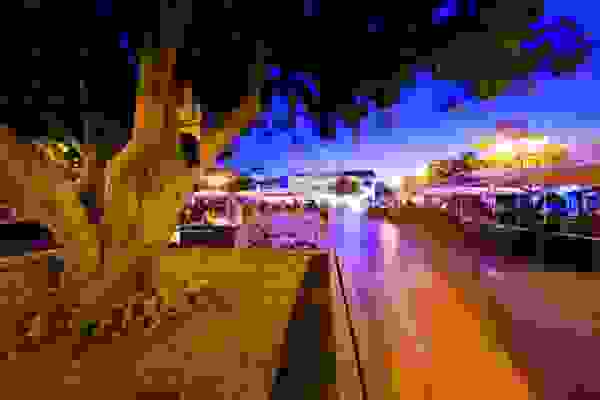 AN2