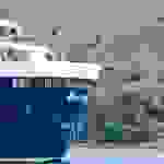 AN3