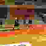 AN3