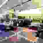 AN3