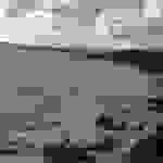 an