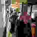 an