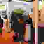 an