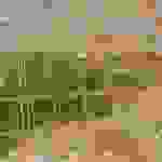 an