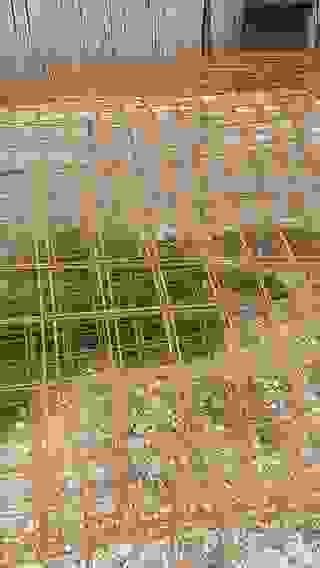 an