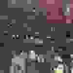 an