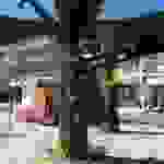 an