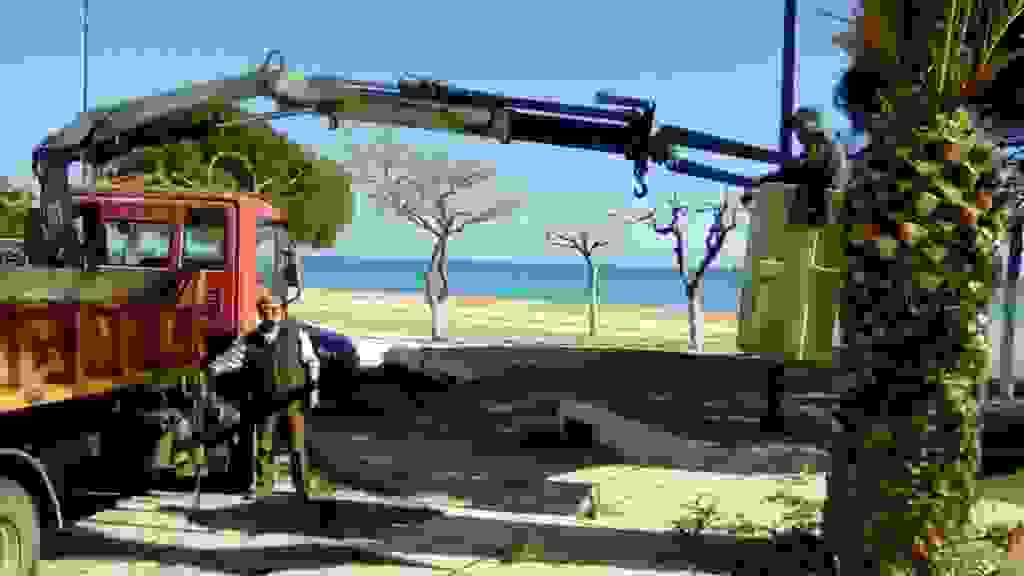 an1