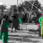 an1