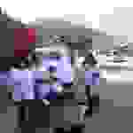 an1