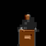 an1