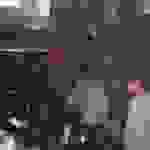 an1