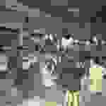 an1