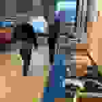 an1