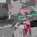 an1
