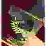 an1