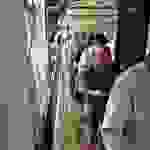 an1