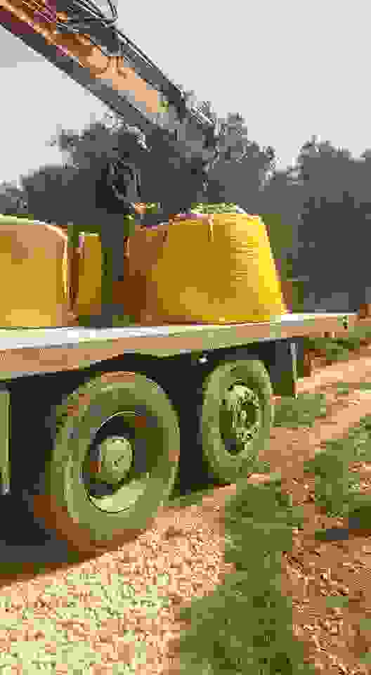 an1