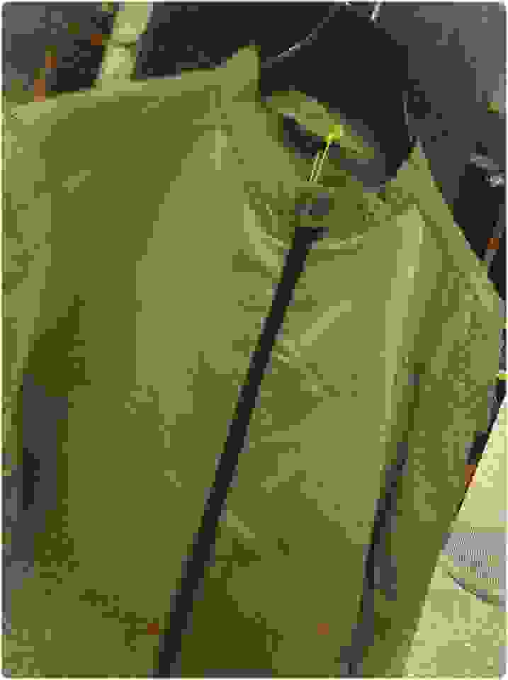 an10