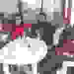 an11
