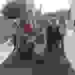 an11