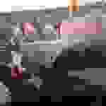 an11