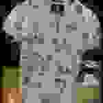 an17