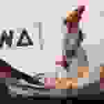 an2