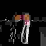 an2