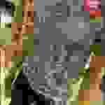 an2