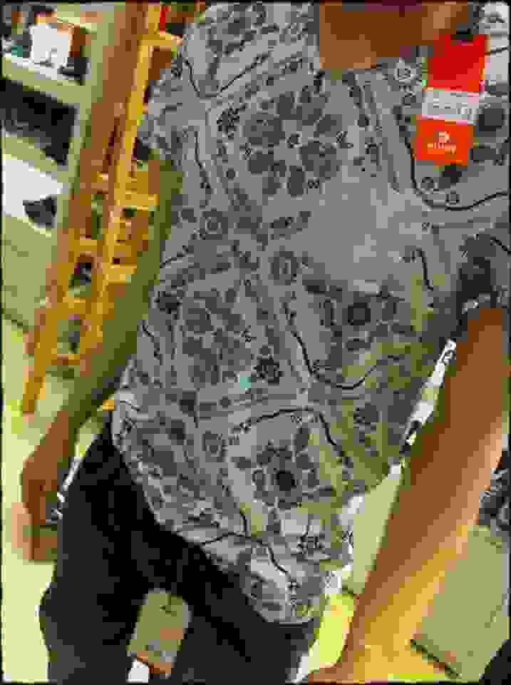 an2