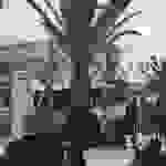 an2