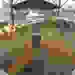 an2