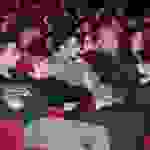 an3
