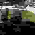 an3