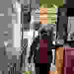an4
