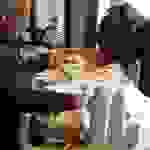 an5