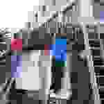an5