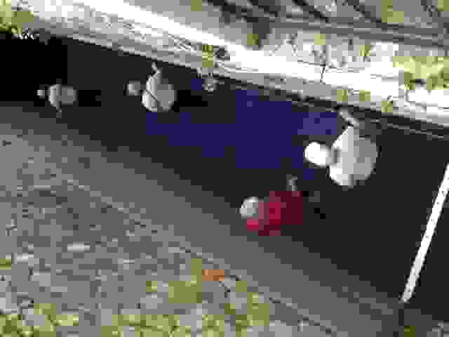 an5