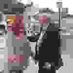 an7