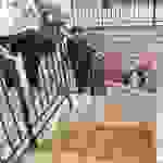 an7