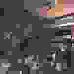 an7